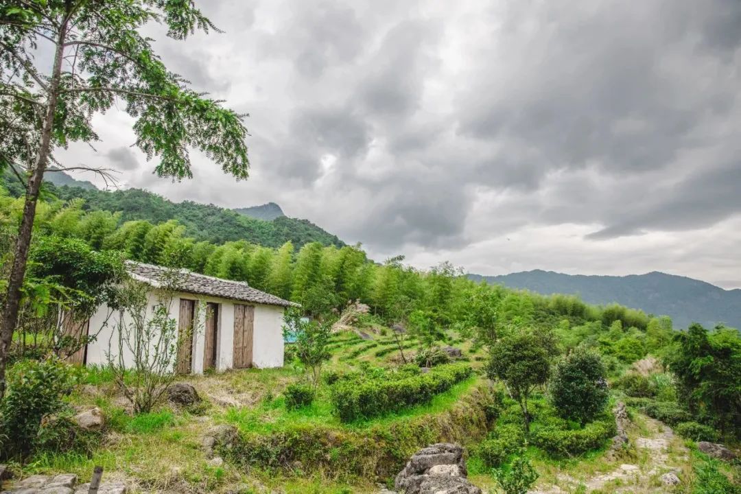 万里茶道第一镇铅山休闲一日游,铅山县万里茶道世界遗产