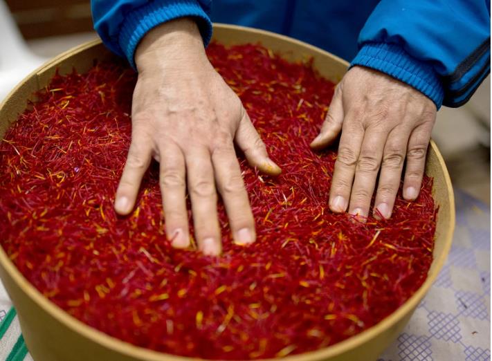 藏红花能种为什么还那么贵,家里自己种的藏红花有那么贵吗