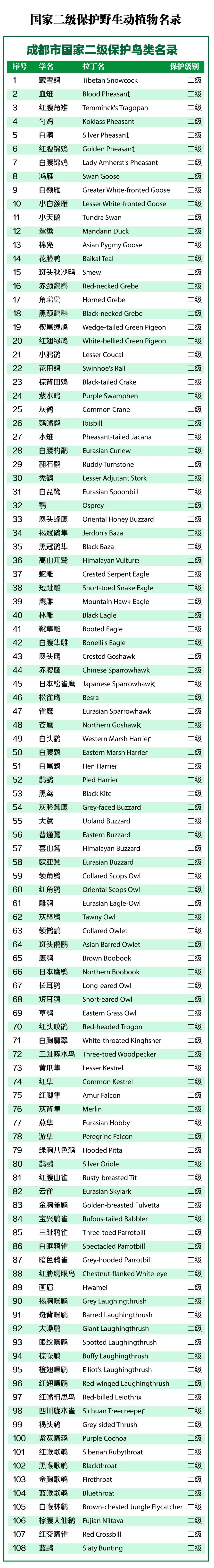 来认识长在石头上的植物,成都有哪些生物