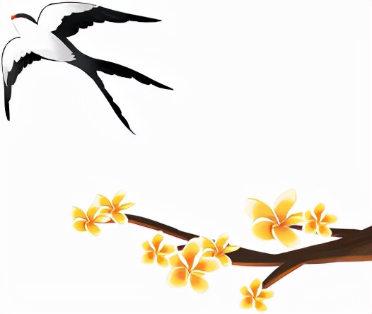 花粉症过敏性鼻炎偏方,花粉症过敏性鼻炎用什么药