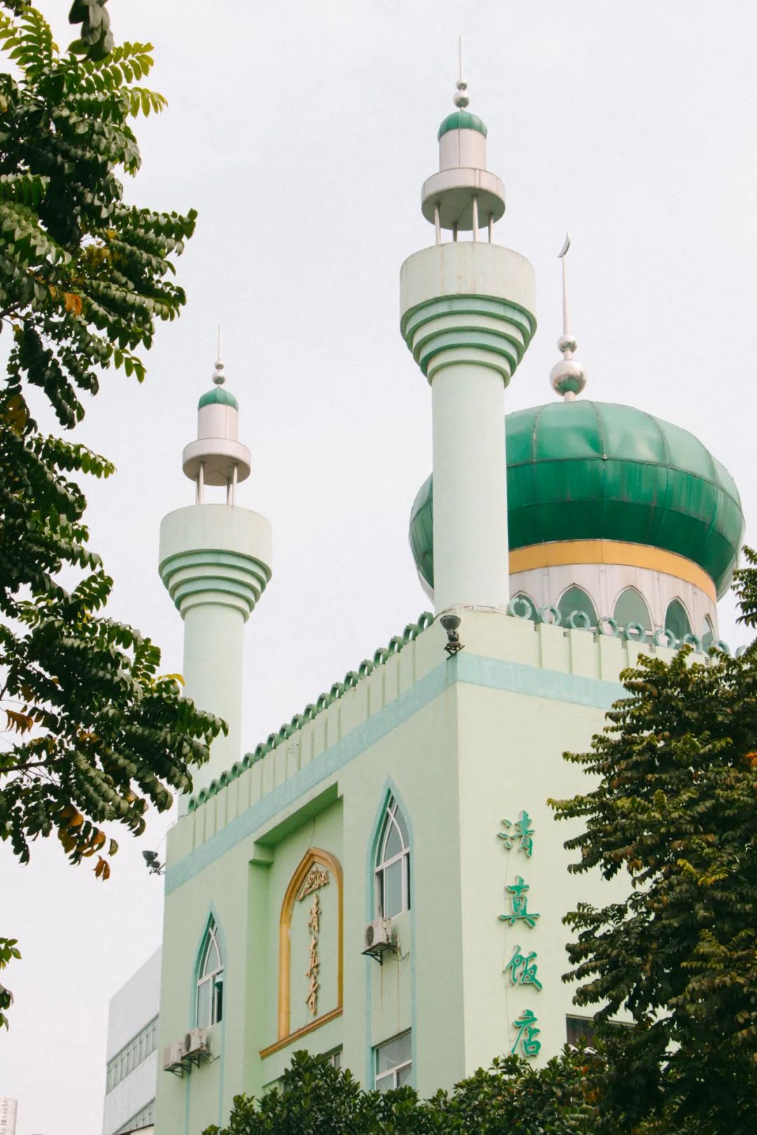 地理冷知识广西,广西南宁冷知识