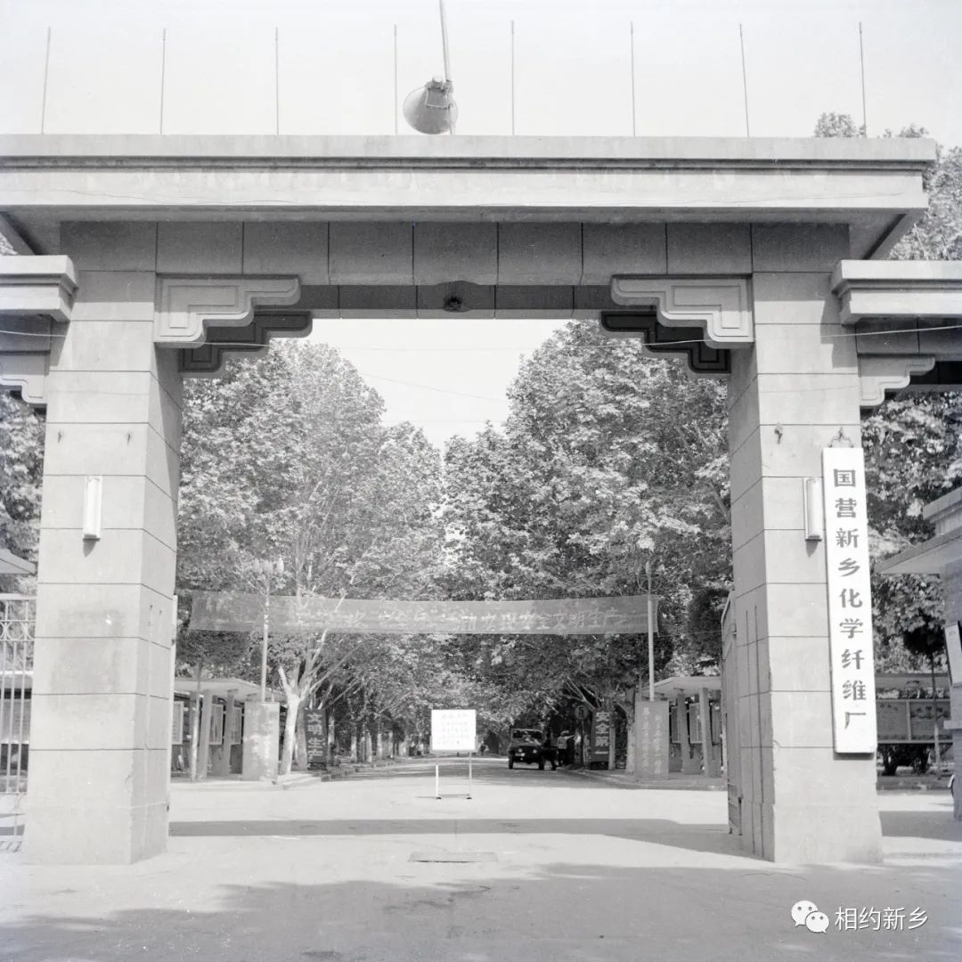 新乡绿野仙踪主题,新乡摘草莓绿野仙踪