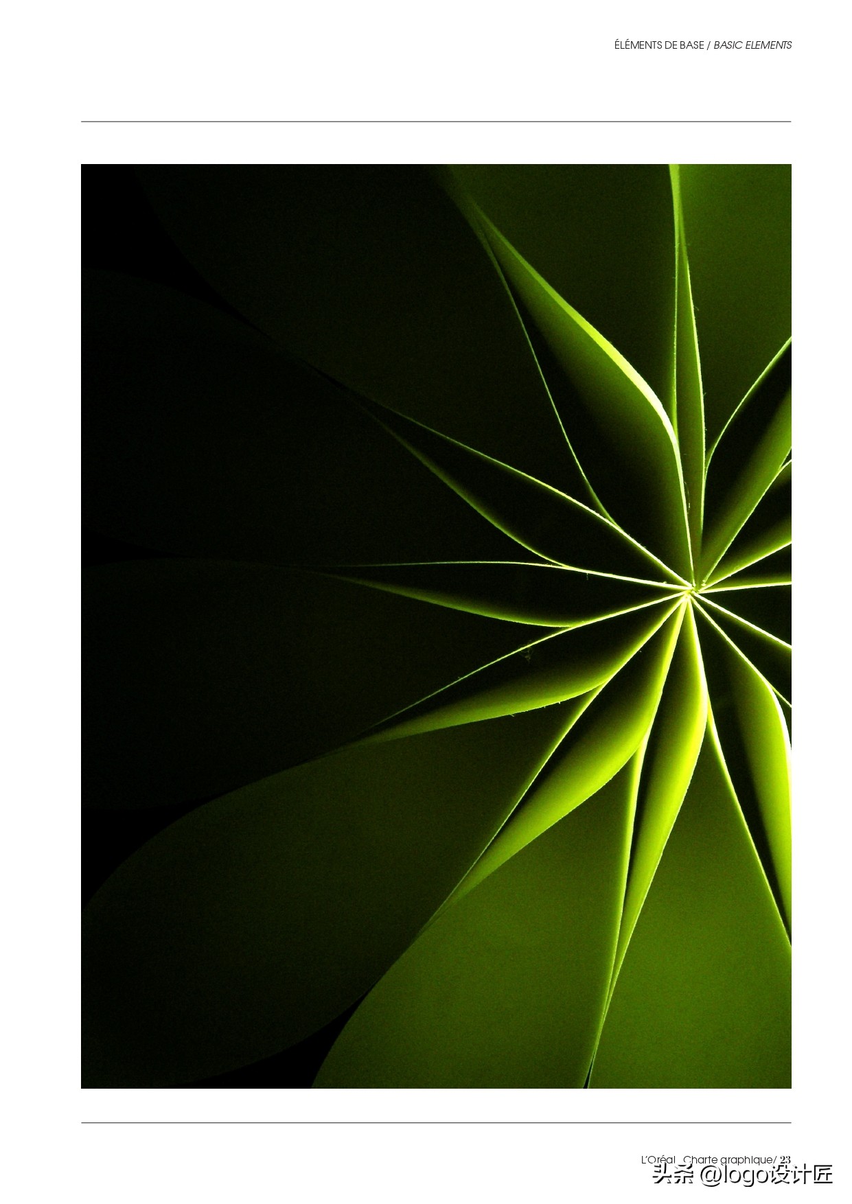 loreal欧莱雅护肤步骤,loreal欧莱雅是什么档次