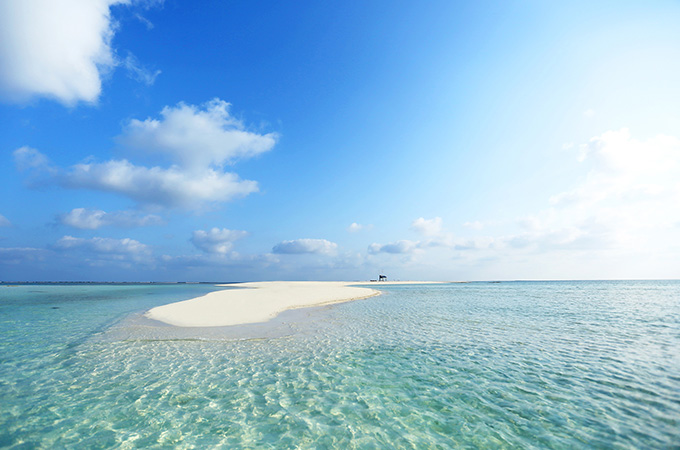 去西沙群岛坐哪个邮轮比较好,长乐公主邮轮和南海邮轮哪个更好