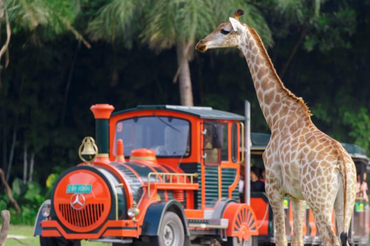 广州长隆酒店童趣乐园,广州游玩长隆性价比超高的酒店