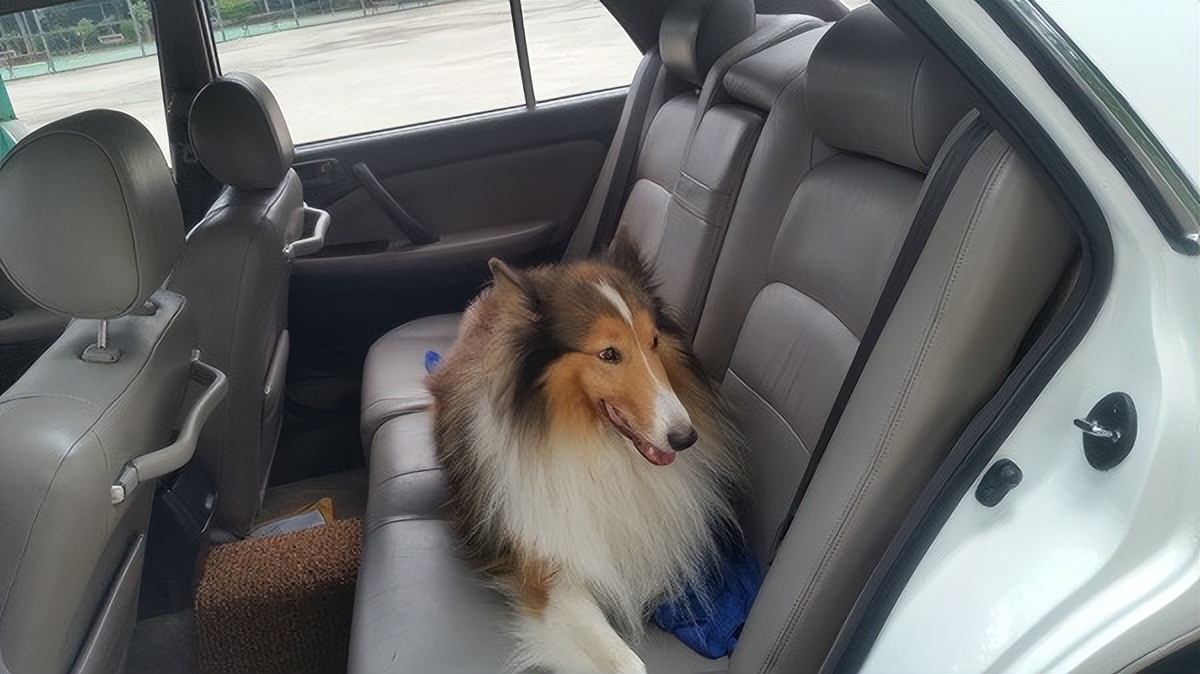 丰田155皇冠,2002款丰田皇冠155