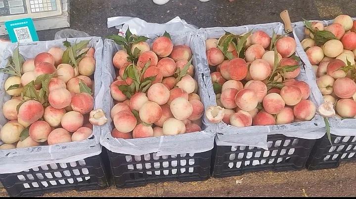 中国申请高句丽世界文化遗产遗址,高句丽历史文化遗址