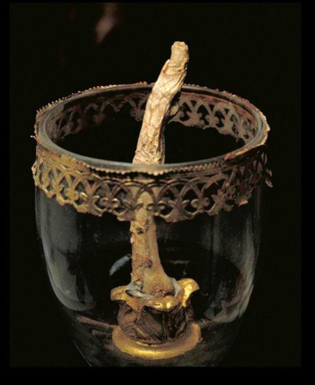 30张活久见的对比照,鳄鱼被电鳗电死的视频