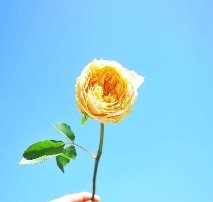 2023微信签名简短干净,2022的霸气气质正能量个性签名