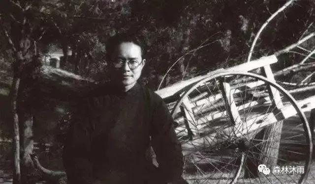 沈从文传奇人生书法,沈从文历史巨著