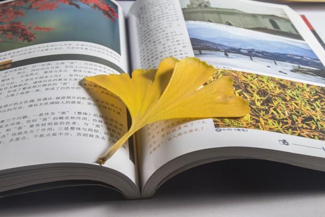 初次在期刊上发表学术论文应该怎样做？