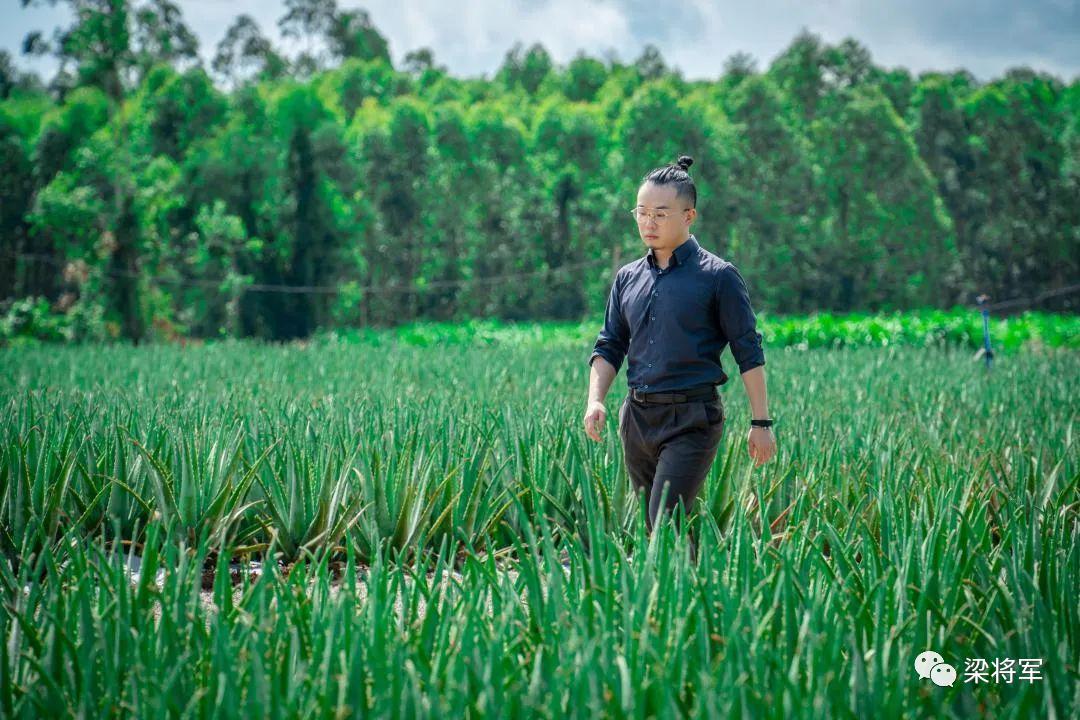 寻荟记的营销,寻荟记营销案例