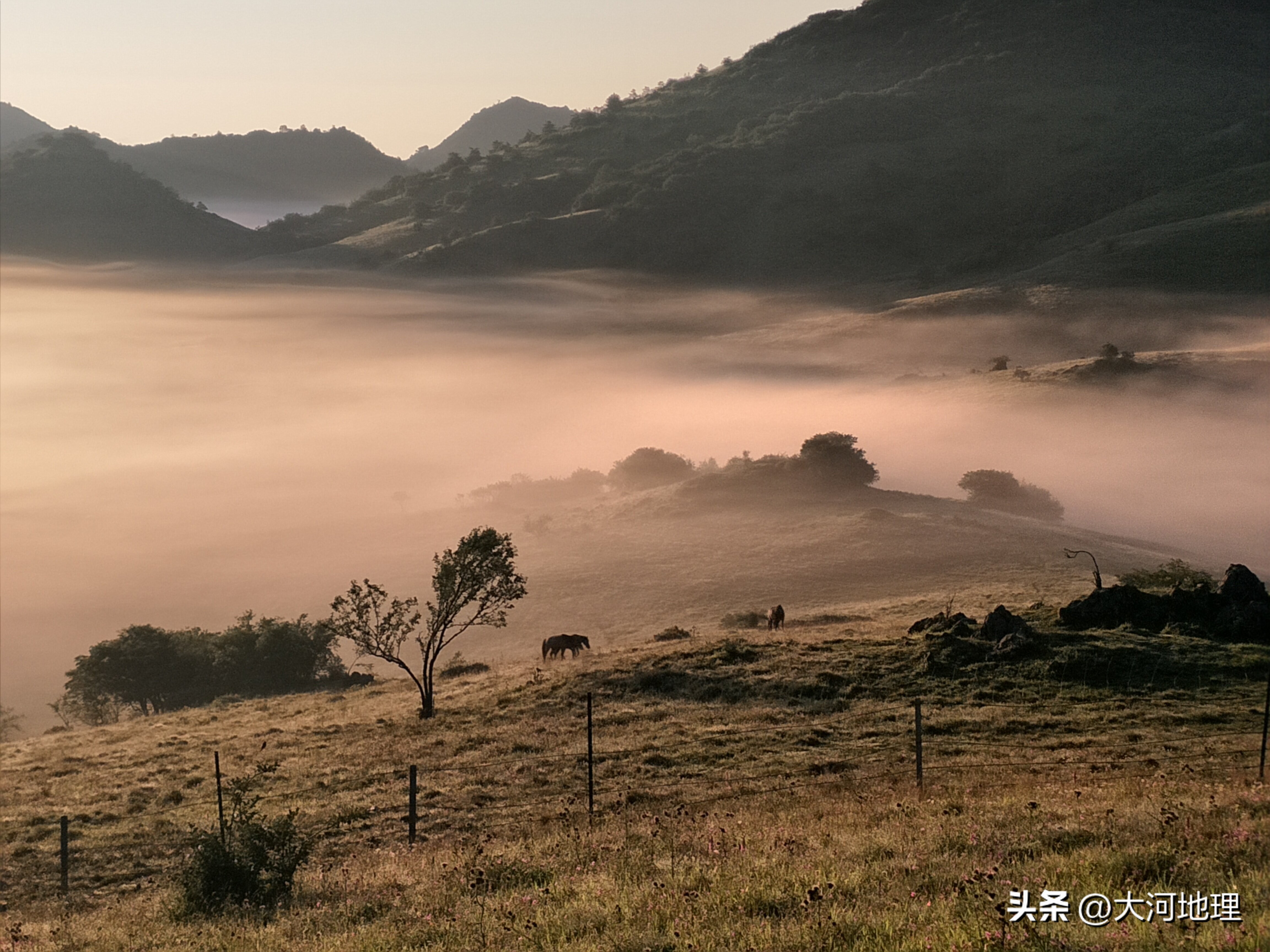 旅游攻略国内十大必去景点南方,中国南方著名景点