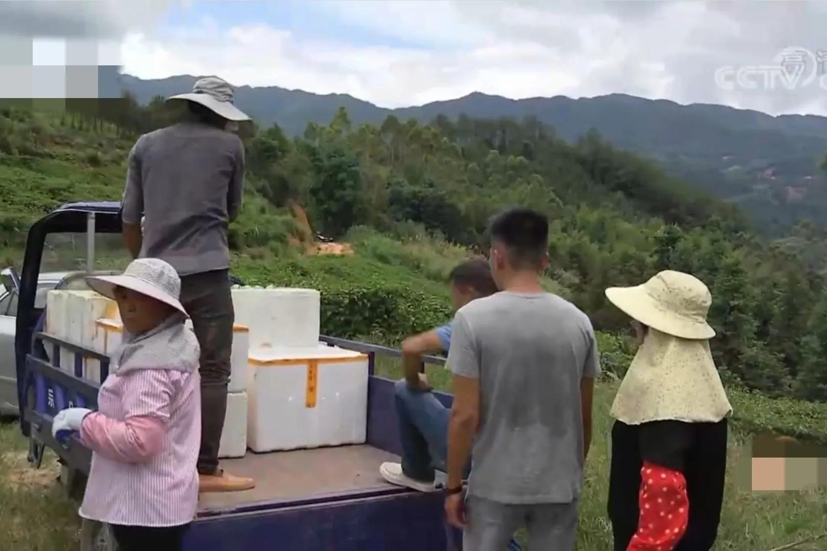 90后小伙承包15亩果园,湖南小伙承包五千亩四年赚上千万