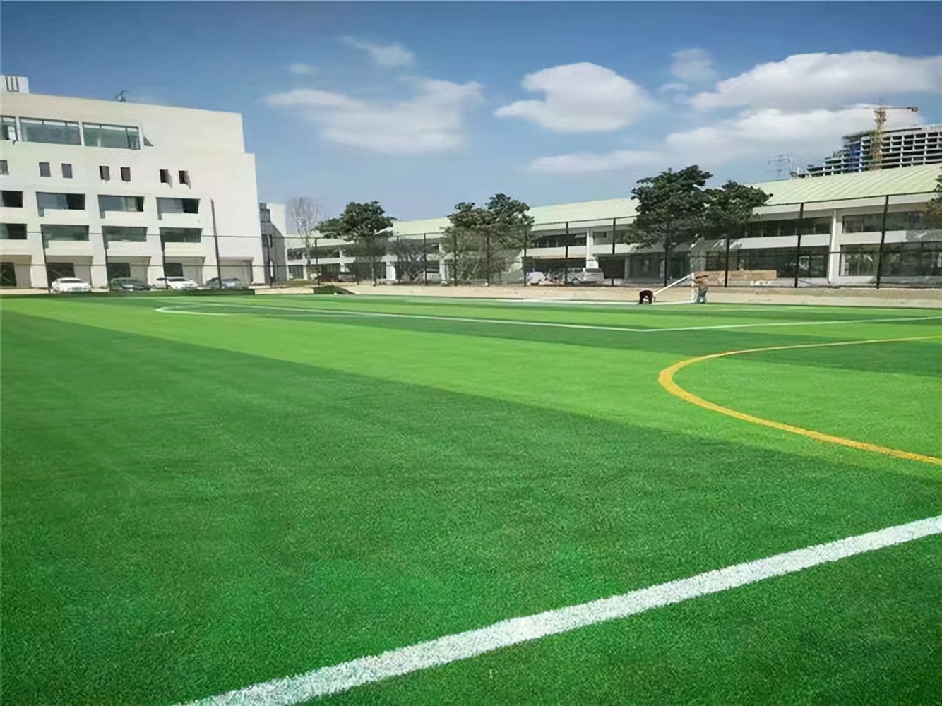 人造草坪最好的是哪个品牌,好的人造草坪品牌