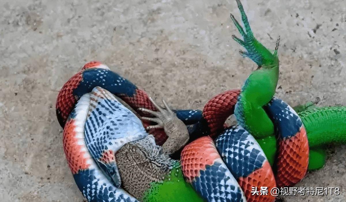 你不知道的历史真相1,你不知道的残酷的历史真相