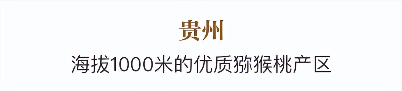 国产猕猴桃和进口奇异果,国产奇异果猕猴桃