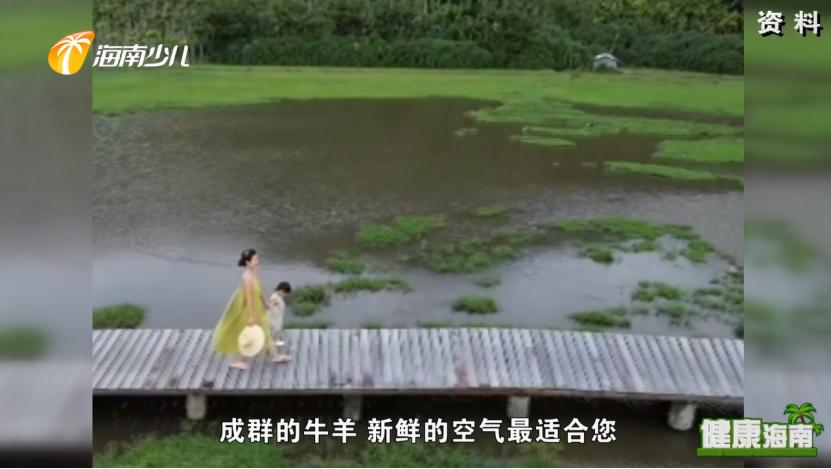 健康海南｜医疗护理师话说快乐健康去旅行！