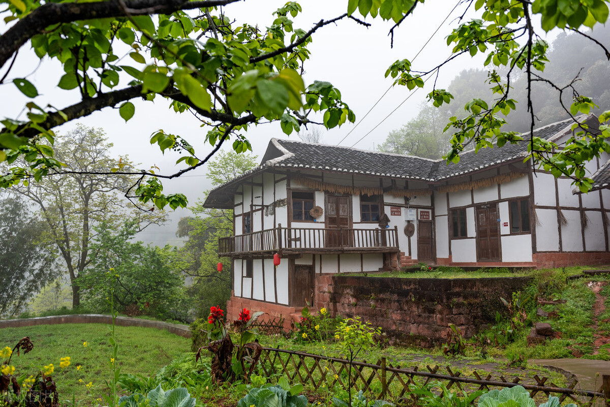 不作不死可以做什么,不作不死可以吗