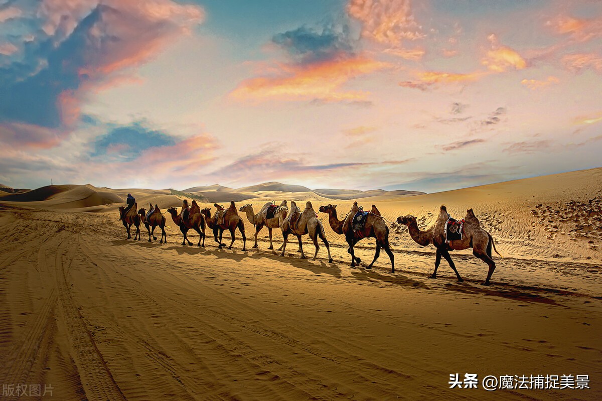 内蒙古旅游必玩攻略,怎么去内蒙旅游玩得更好更省钱