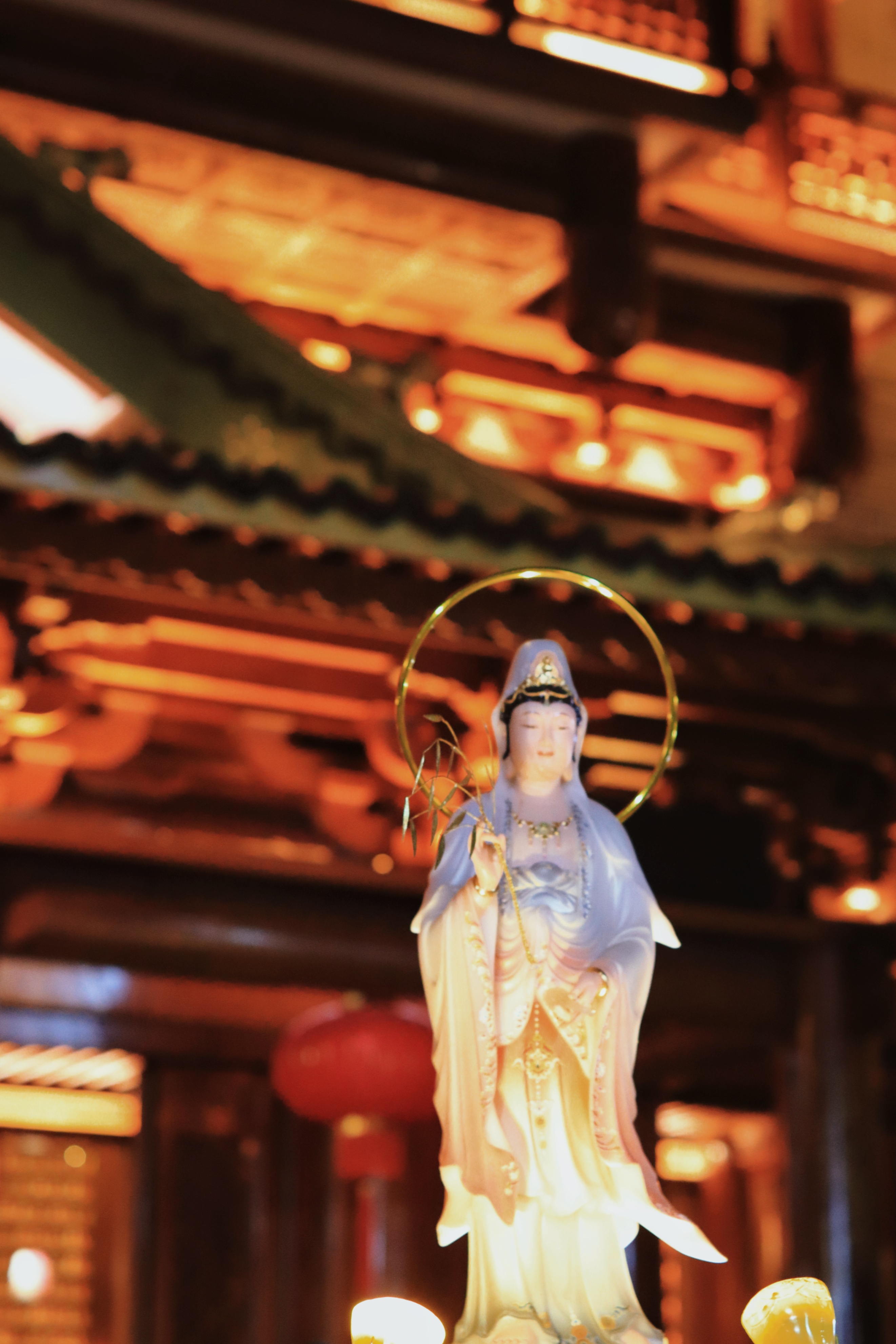 广州旅游指南探索广州的魅力之旅,探秘广州的自然风光