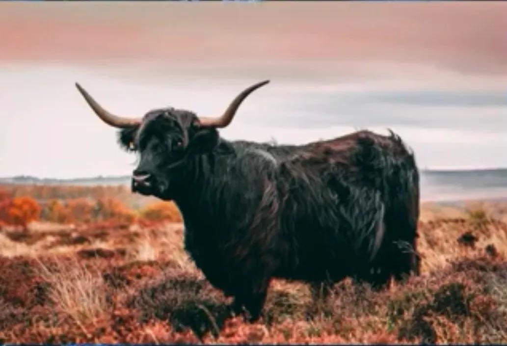 30分钟k线买入技巧,期货30分钟k线技巧