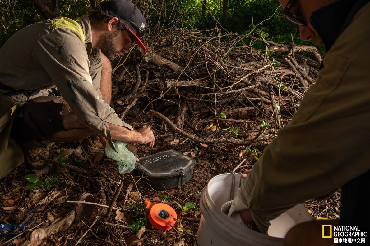 鐏紶澶ф垬榧犲矝,鐏紶澶ф垬鏆楀尯