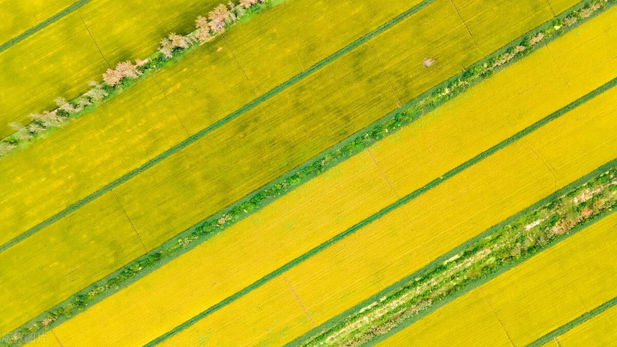 江苏唯一有山的城市,中国海拔最高的风景区