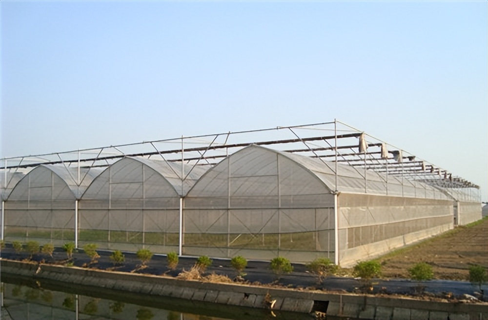 青海连栋薄膜温室大棚专业定制,贵州薄膜温室大棚建造可定制加工
