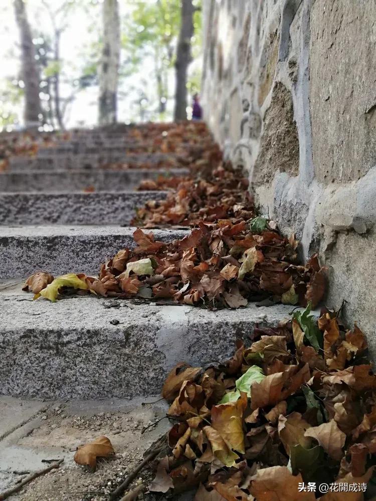 风吹哪页读哪页，哪页不懂撕哪页！