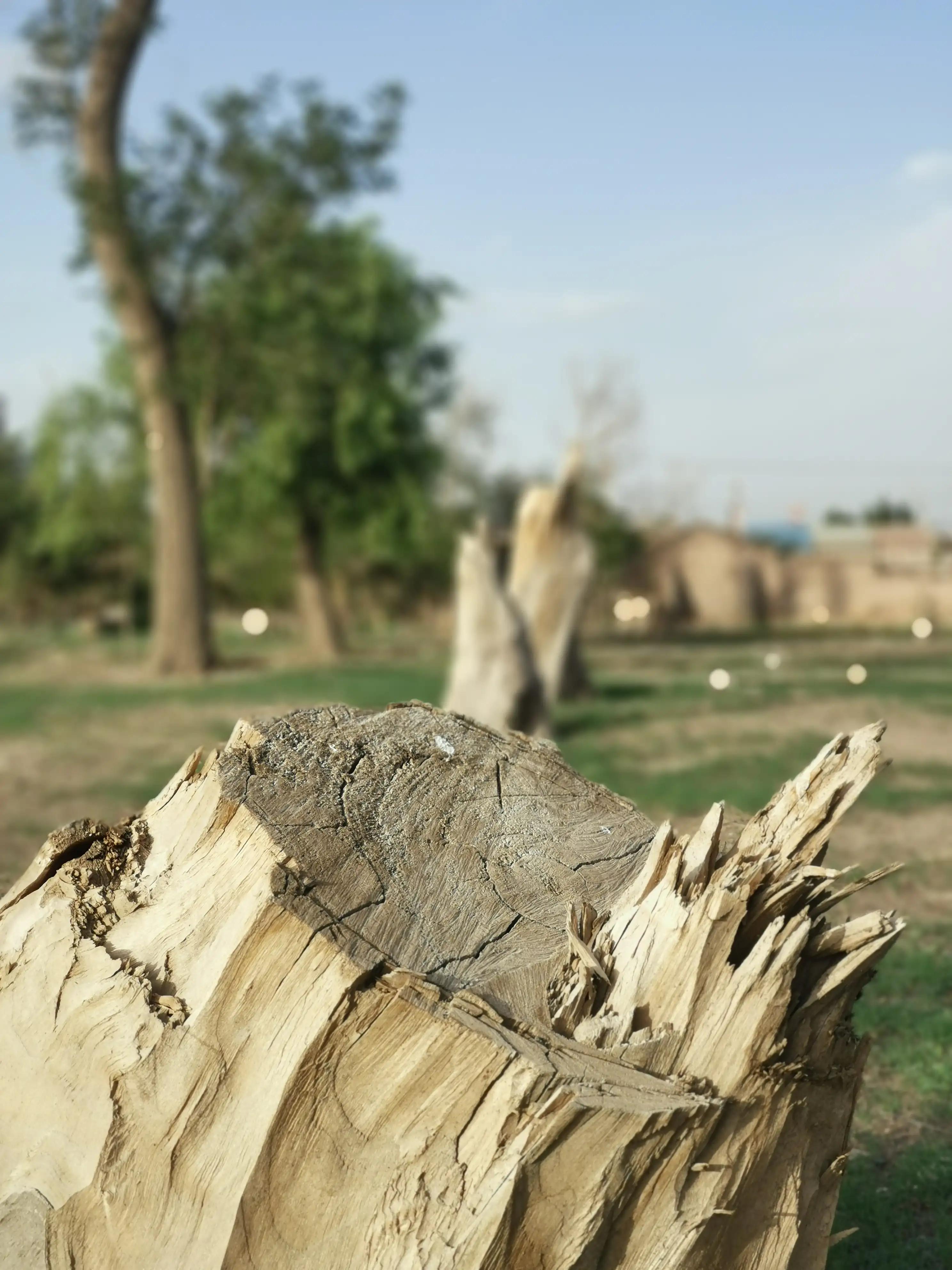 黄健翔诗意解说,黄健翔经典解说音频