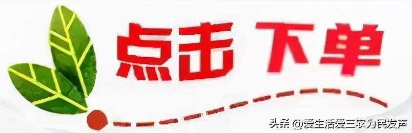 农民工回老家创业好做吗,农民工转行做什么有前景
