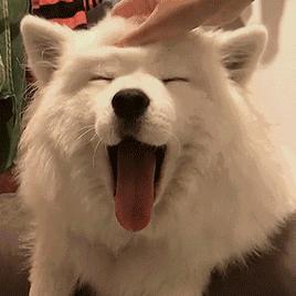 深圳普惠园管理办法意见稿全文,深圳市普惠幼儿园入园条件