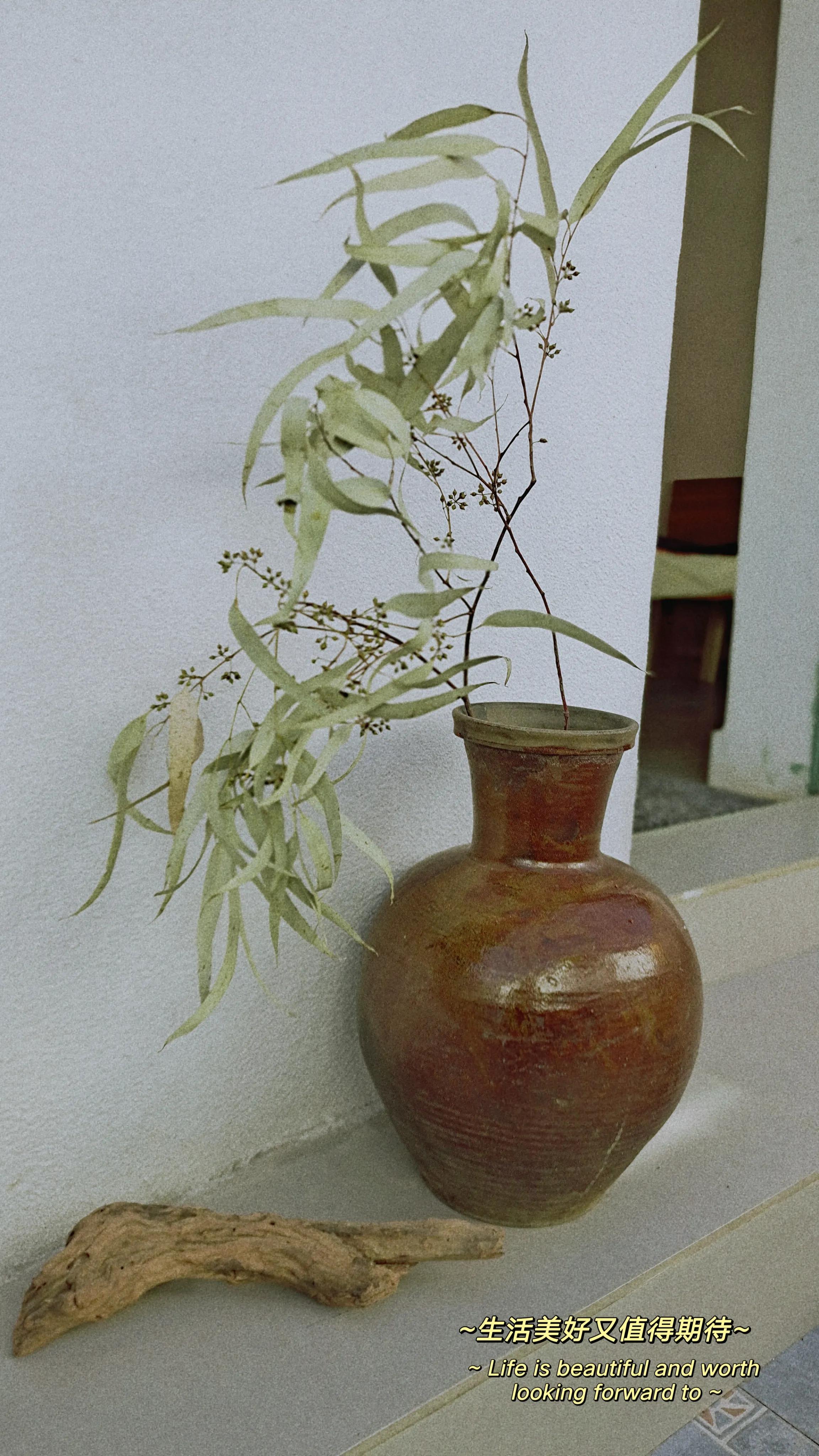 云南小镇的养老房，哪些可以买，哪些是坑不能买