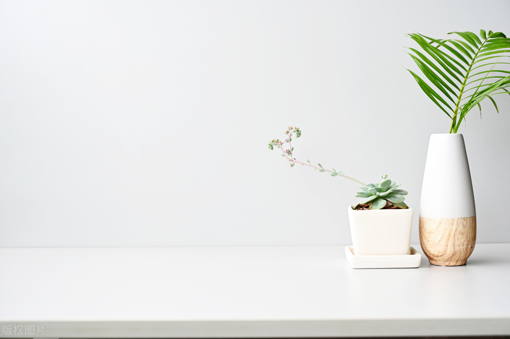 自媒体如何制作视频才能有收益,做自媒体怎么发视频收益最高