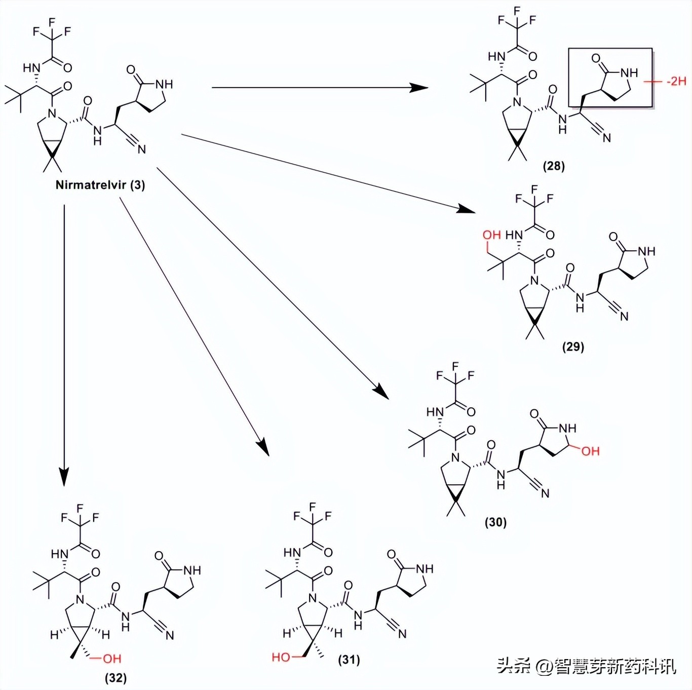 辉瑞新冠特效药可以治疗重症吗,辉瑞新冠特效药绿色和蓝色区别