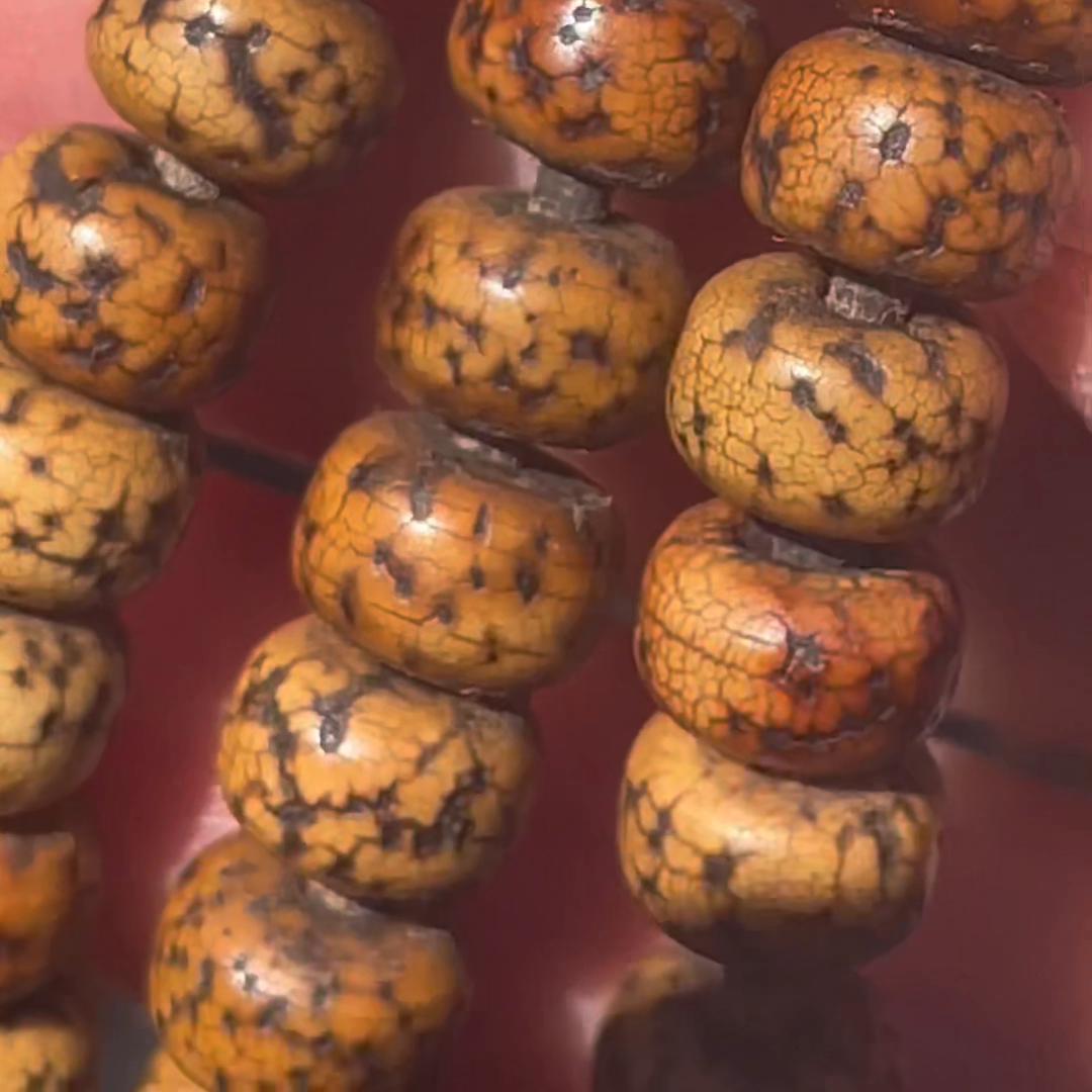 又好又老还便宜的以后只有梦里有#拉萨