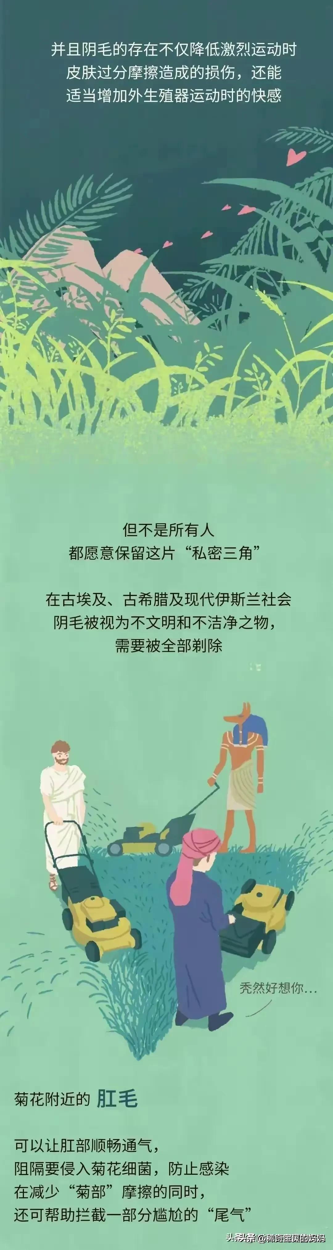 人类的体毛作用,人类为何没有浓密的体毛