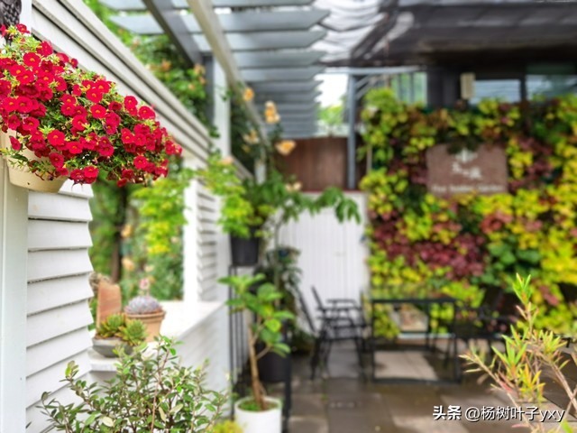 短篇小说：张老头的奸情