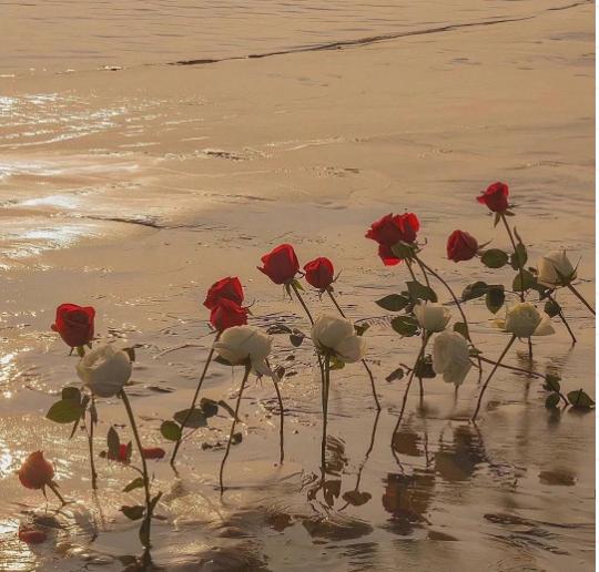 520我有一万种想见你的理由,520我唯一很期待的就是和你见面