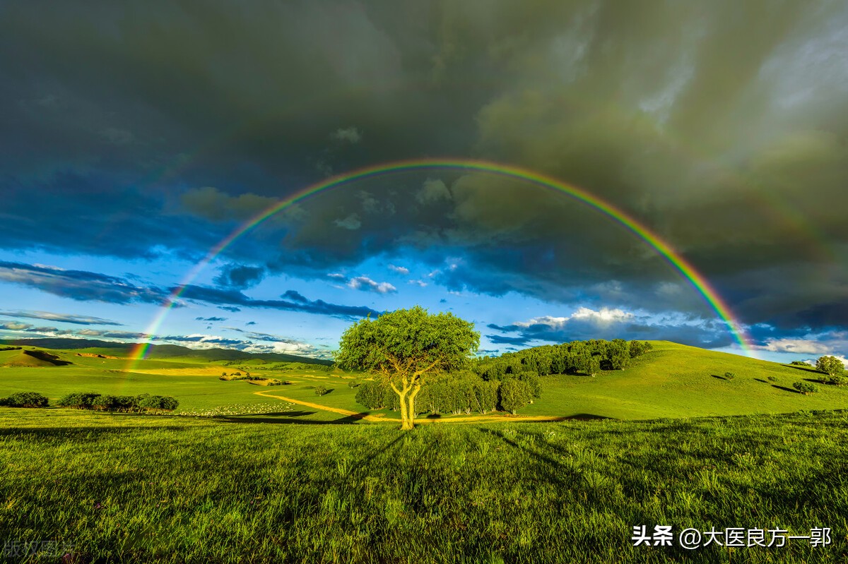 总结治疗“阳委”4大中成药，品种繁多，使用方便，疗效确切！