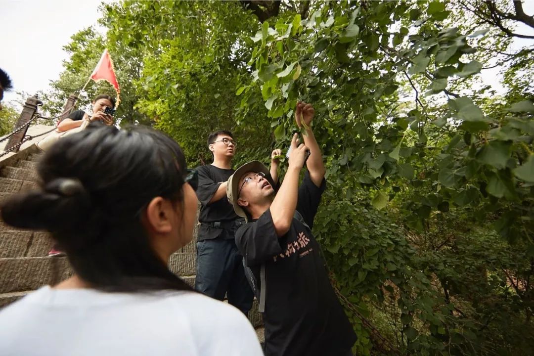 吃到嗓子眼的榴莲自助,吃到嗓子眼的牛肉面