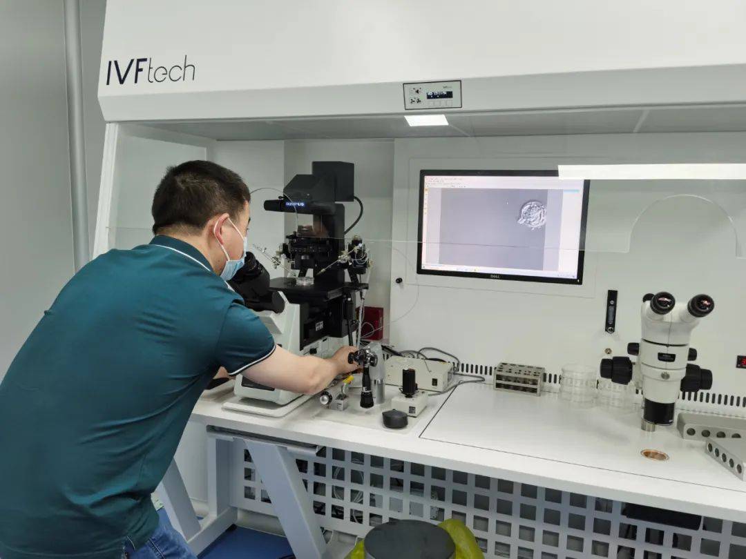 深圳龙华梅花山庄小产权别墅,深圳梅花山庄别墅真实图片