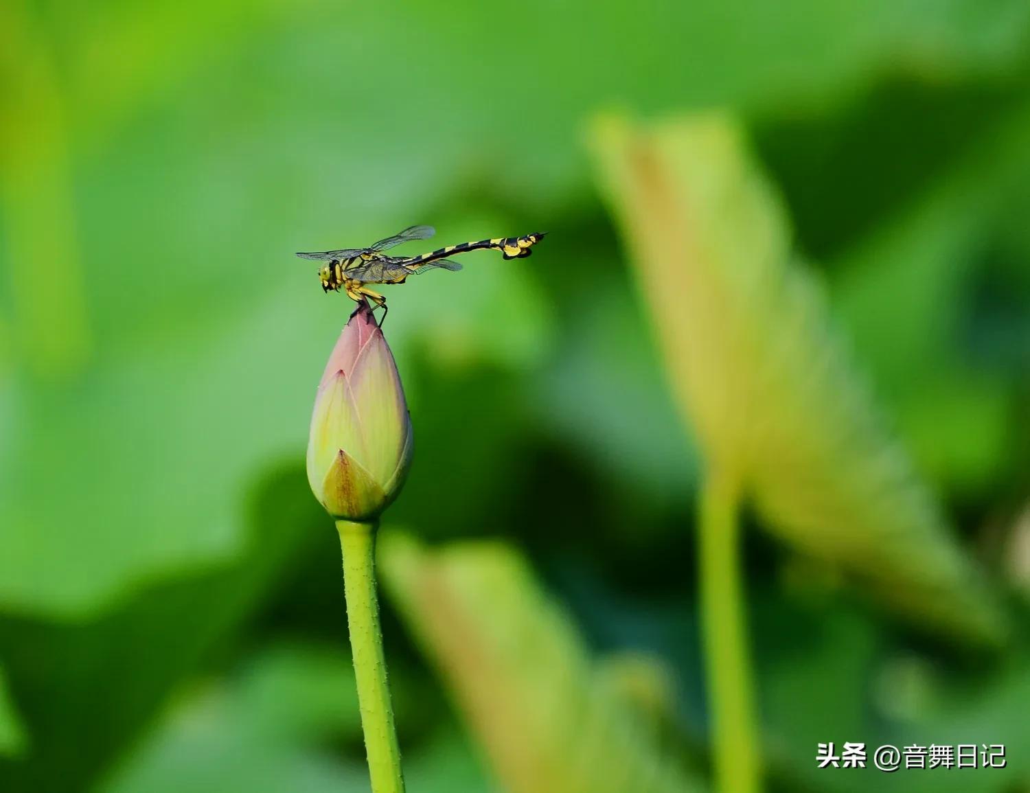 做自己不喜欢的工作才是最累的,每天做自己不感兴趣的工作好累