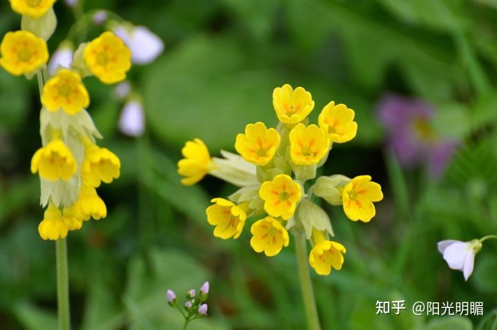 诗词歌赋飞花令,飞花令诗词歌赋古风模板