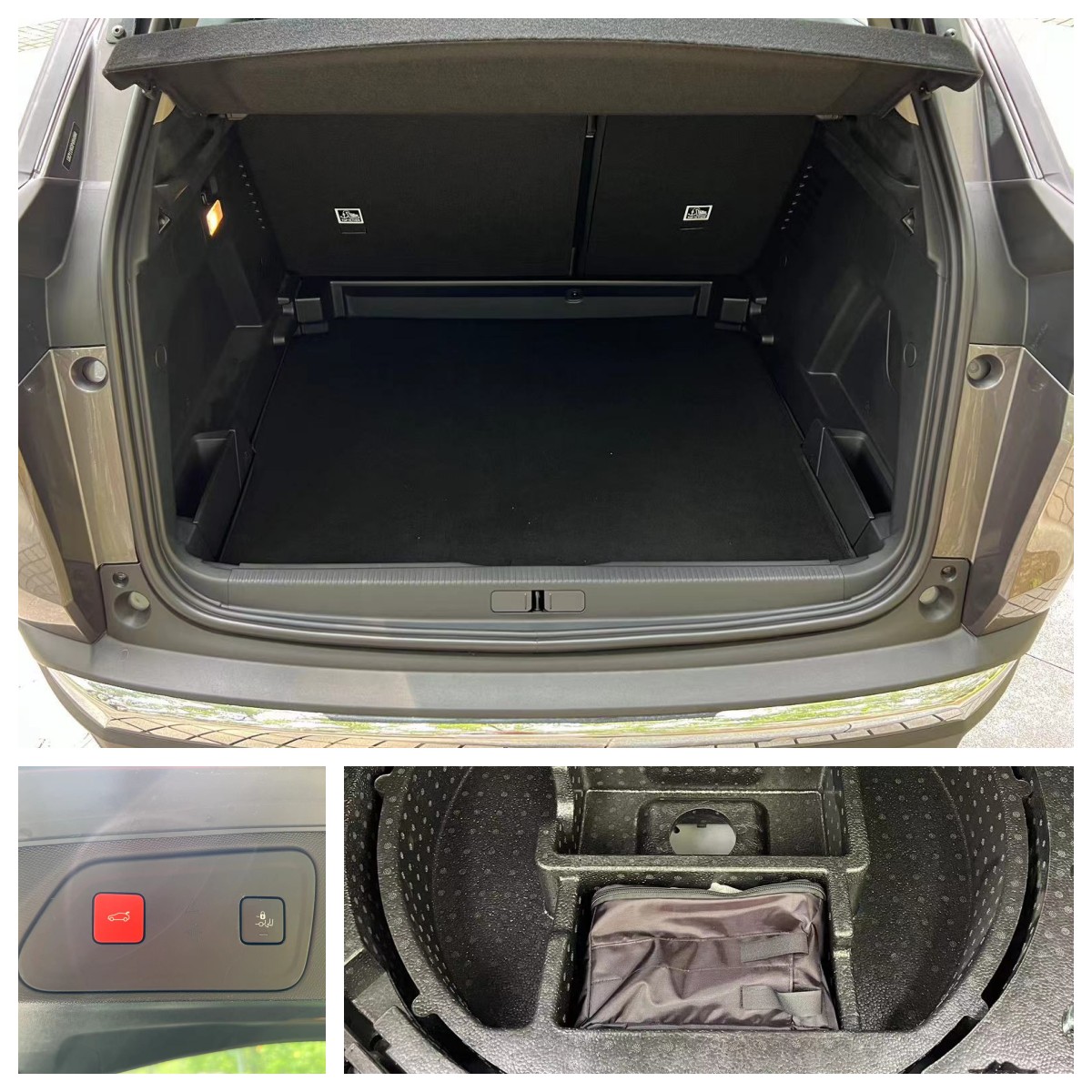 盾牌黑底狮子的车标,盾牌狮身车标