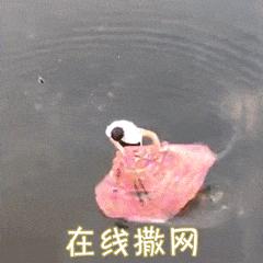 养殖塘泥皮,养殖塘产生泥皮的处理方法