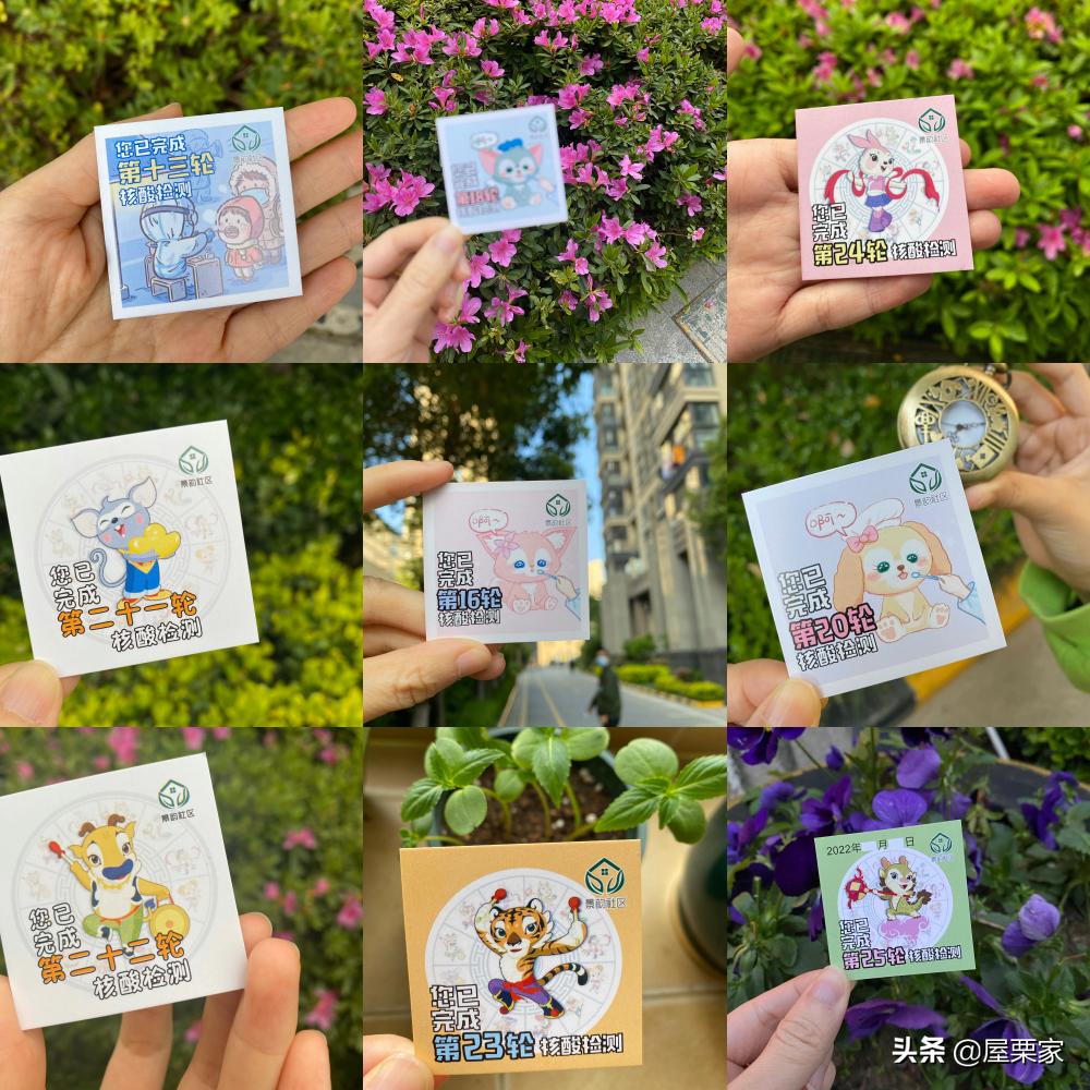 核酸报销凭证是咋样的,苏州核酸检测凭证卡片