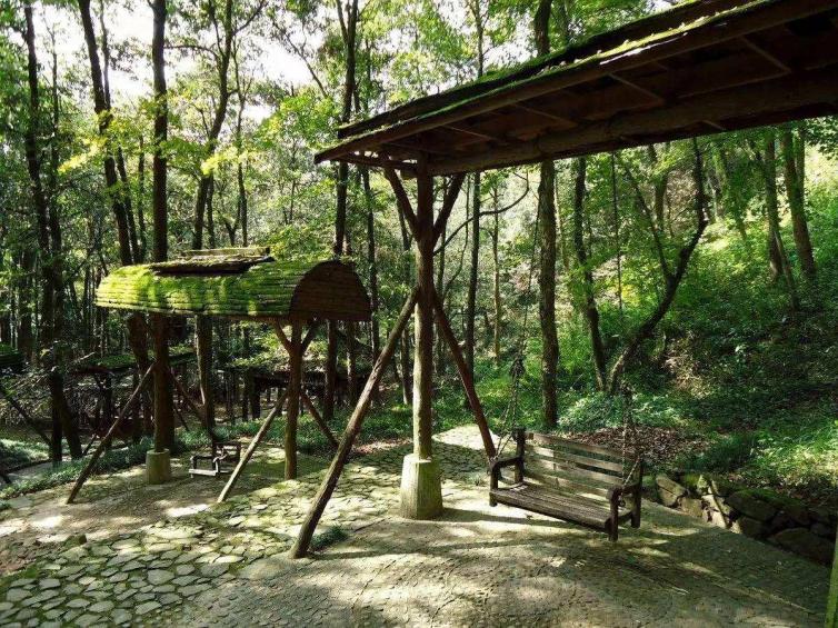 上海避暑,上海景点避暑攻略自驾游