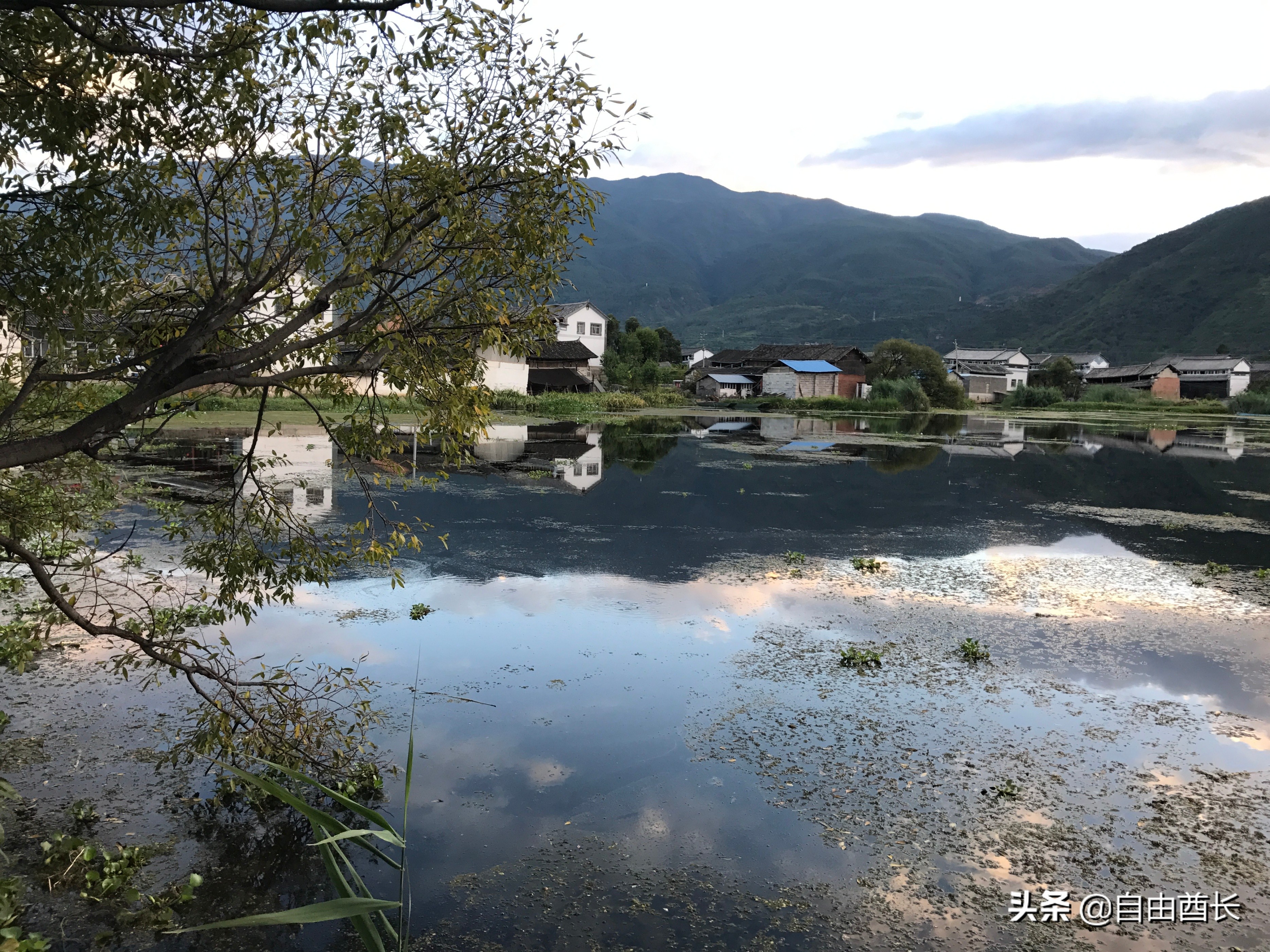 远去的驮铃声（十）抚仙湖畔的约定